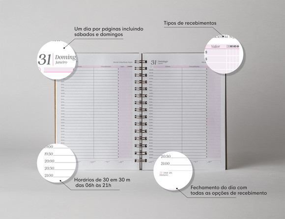 Arquivo Digital Miolo Agenda Plus 2027 | Agenda com Livro Caixa - Imagem 4