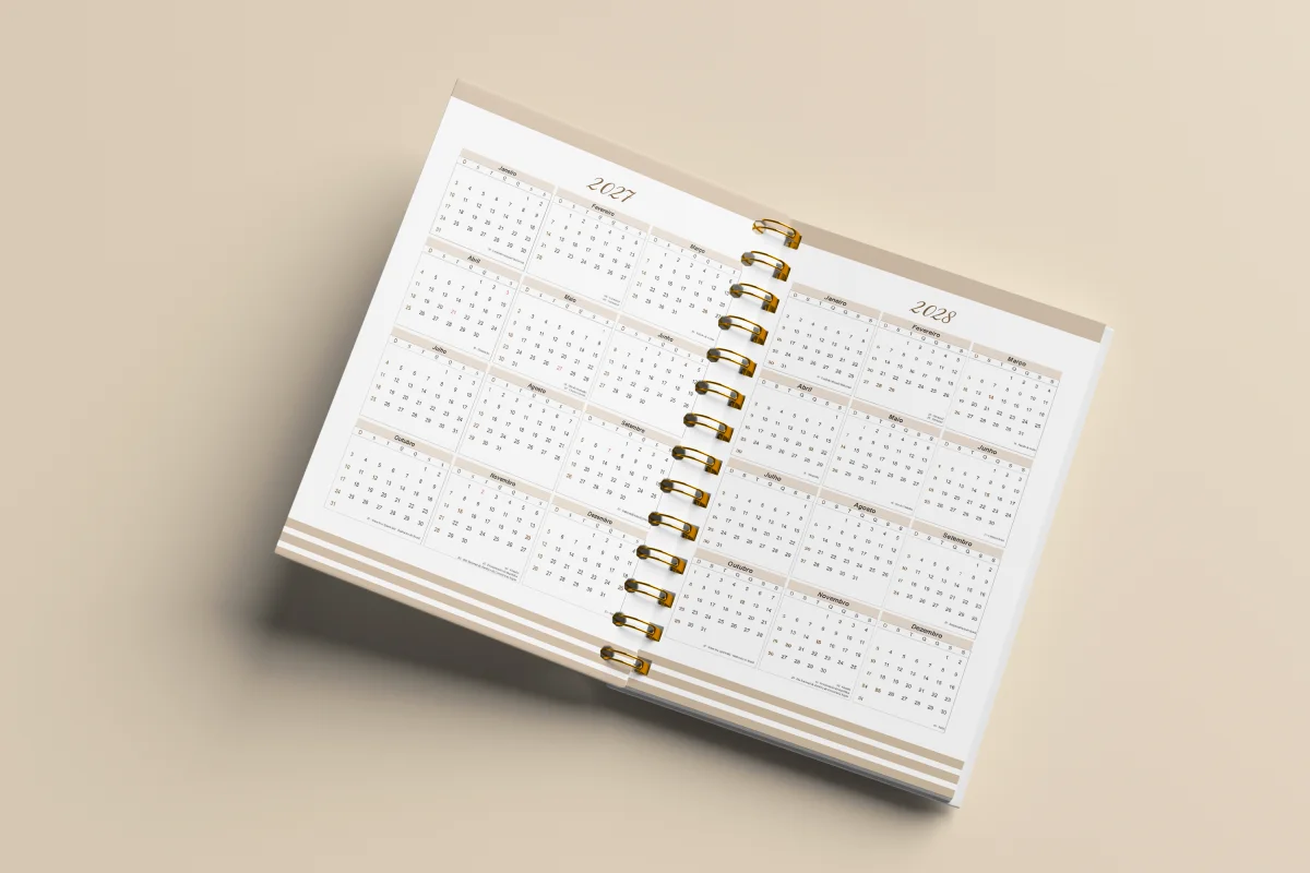 Arquivo Digital Miolo Agenda Plus 2027 | Agenda com Livro Caixa - Imagem 8