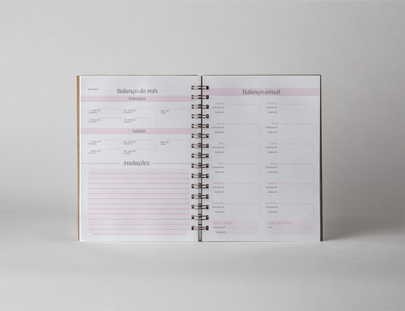 Arquivo Digital Miolo Agenda Plus 2027 | Agenda com Livro Caixa - Imagem 2