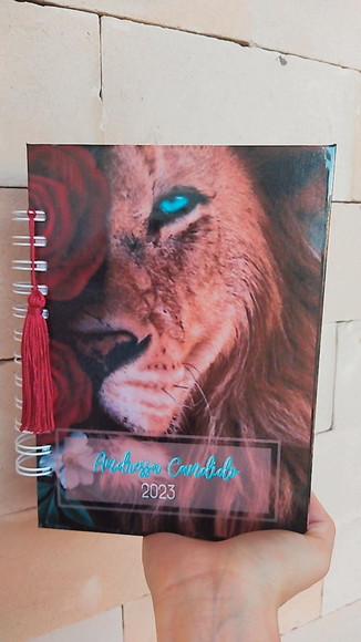 Imagem 1