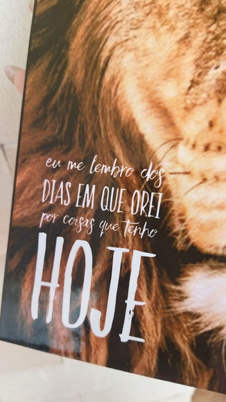 Imagem 5