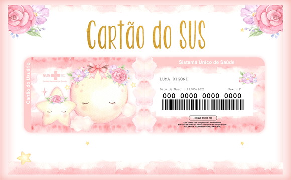 Cartão Sus Baby
