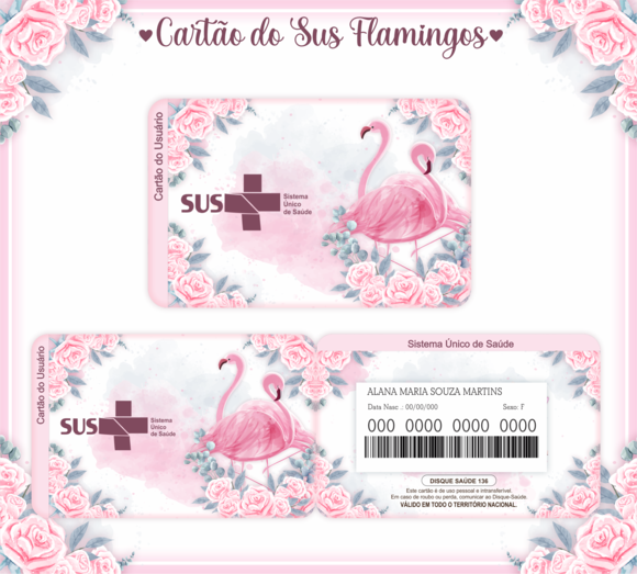 Cartão SUS Flamingos