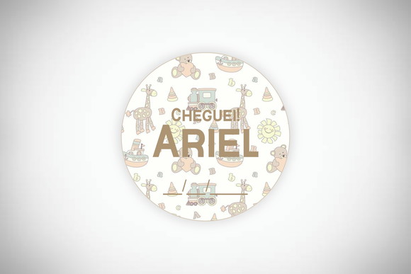 Tag Personalizada Maternidade Cheguei Brinquedos