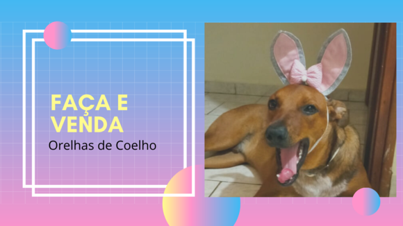 Imagem 2
