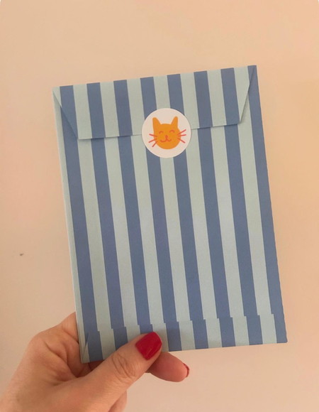 Envelope Plano Criativo com Lacre Adesivo- Flat Pocket