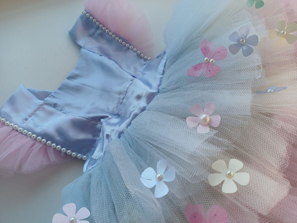 Imagem 4
