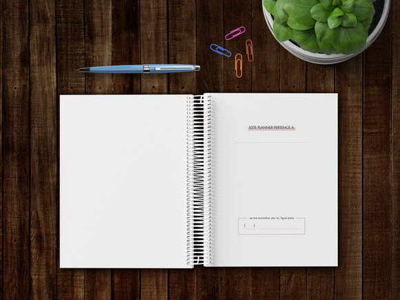 Planner Color Permanente Personalizado