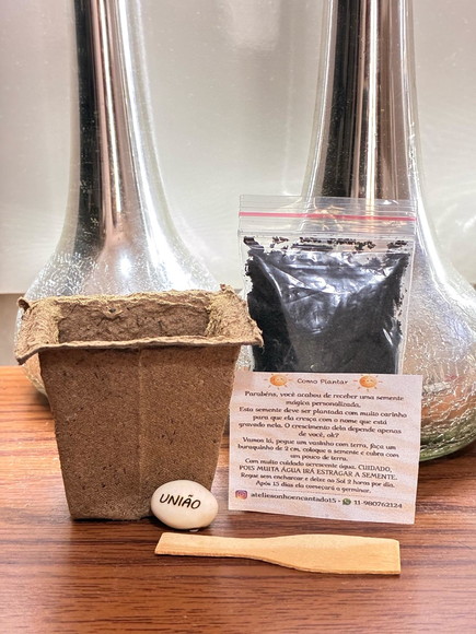 Brinde Plantio Vaso Biodegradável com Semente Personalizada