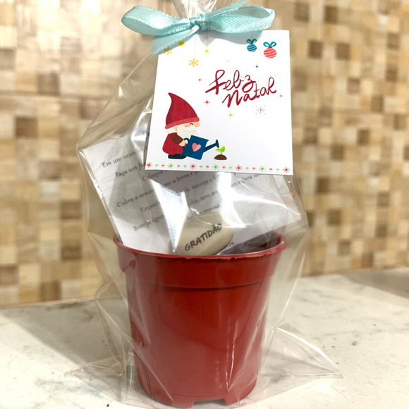 Brinde Semente Personalizada Natal
