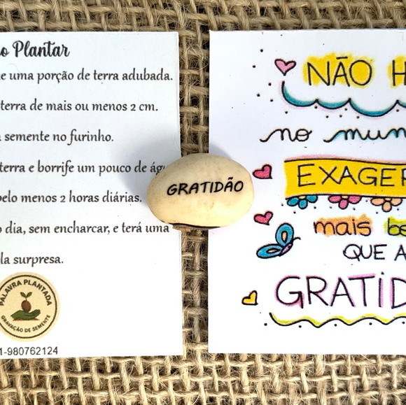 Imagem 4