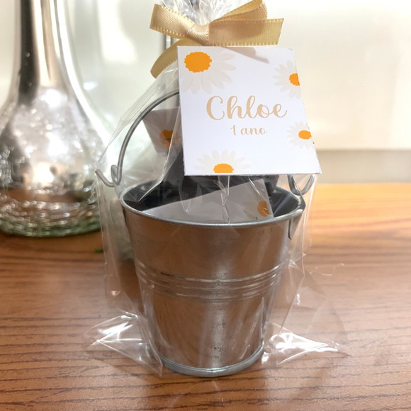 Lembrancinha Kit Plantação Todos os Temas