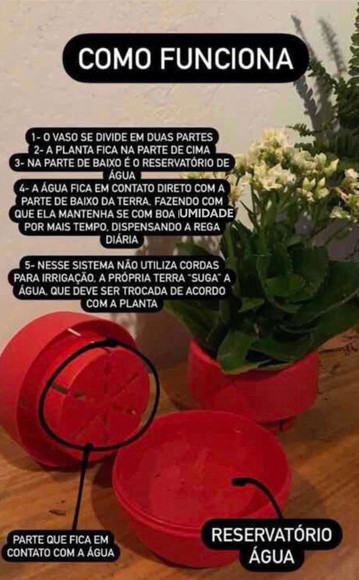 Imagem 4