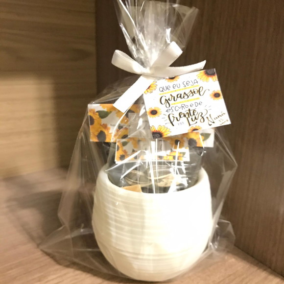 Kit jardinagem vaso auto irrigável