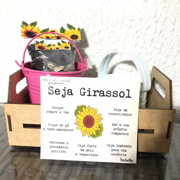 Imagem 2