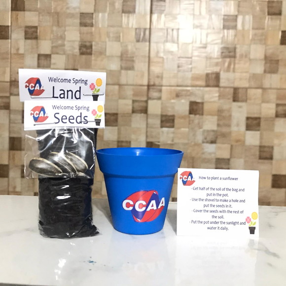 Brinde Ecológico Para Empresas