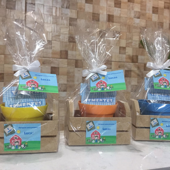 Kit Jardinagem Com Caixote Fazendinha