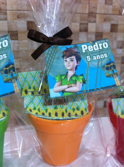 Imagem 5
