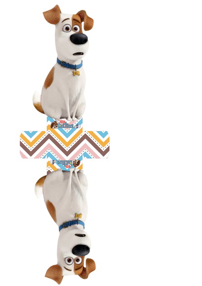 ARQUIVO CAIXA SILHOUETTE PETS LUXO