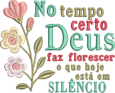 Imagem 4