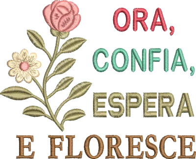 Imagem 6