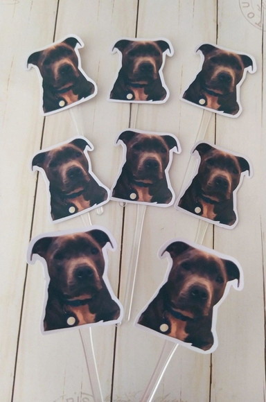 Topper para Docinhos Pet Cachorro com Foto