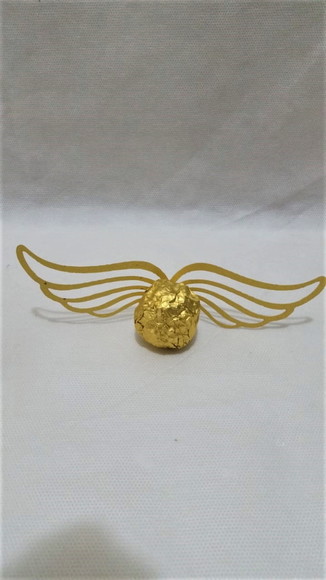 Kit Asas Pomo de Ouro Harry Potter