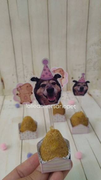 Kit Festa Aniversário Cachorro Capivara - Imagem 2
