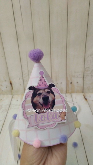 Kit Festa Aniversário Cachorro Capivara - Imagem 4