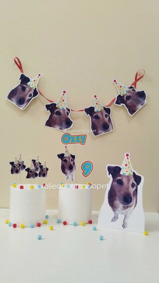 Kit Bandeirola com Foto, Topper e Display com Foto Cachorro