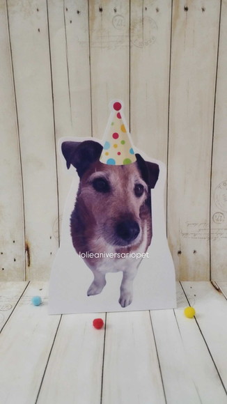 Kit Bandeirola com Foto, Topper e Display com Foto Cachorro - Imagem 3