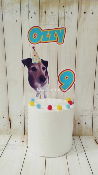 Kit Bandeirola com Foto, Topper e Display com Foto Cachorro - Imagem 2