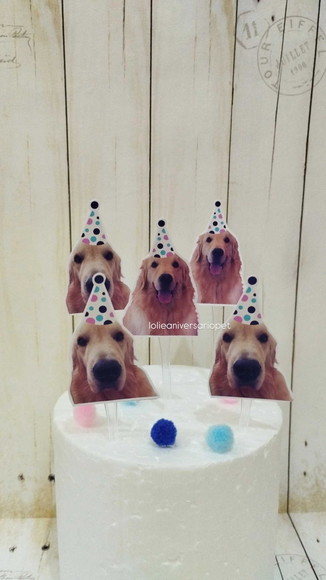 Topper para Docinhos Cachorro com Foto e Chapéu Bolinha 20un