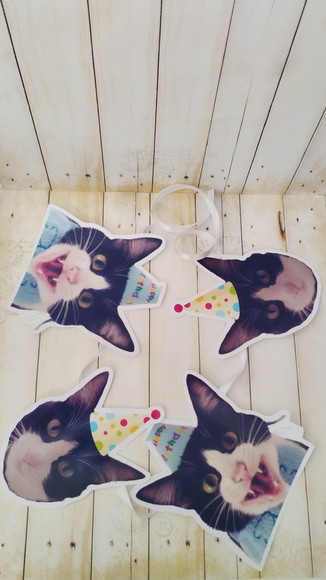Kit Bandeirola com Foto e Chapeuzinho Gato