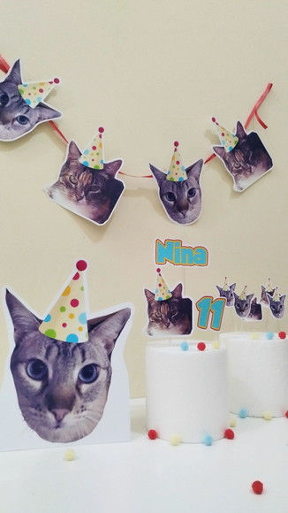 Kit Bandeirola com Foto, Topper e Display com Foto Gato