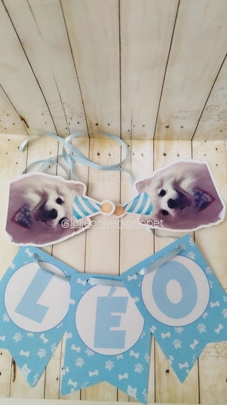 Kit Bandeirola, Topper e Chapeuzinho Aniversário Cachorro