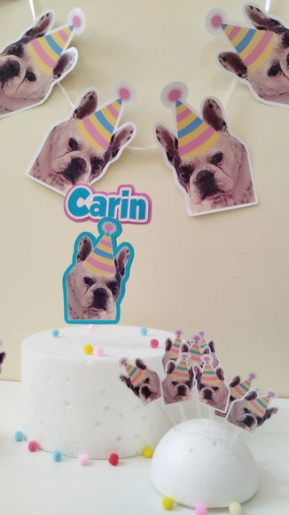 Kit Festa Cachorro Personalizado com Foto e Chapeuzinho