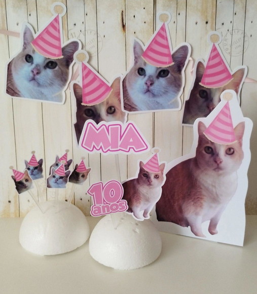 Kit Bandeirola com Foto, Topper e Display com Foto Gato