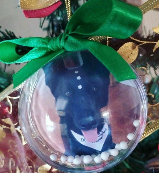 Esfera Bolinha de Natal com Foto Pet Cachorro