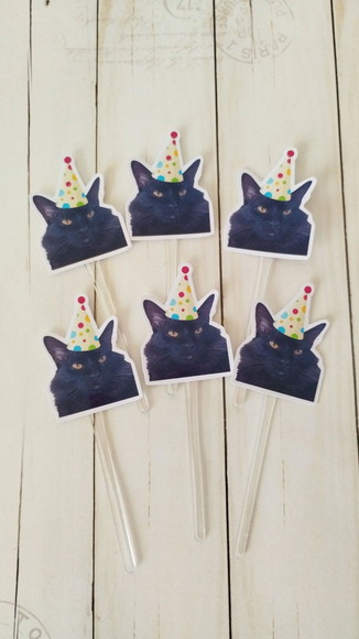 Topper para Docinhos Aniversário Gato com Foto e Chapéu 20un