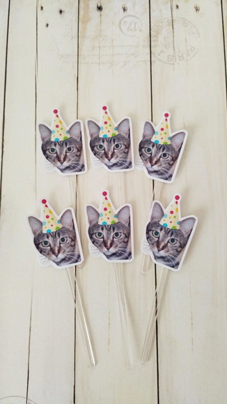 Topper para Docinhos Aniversário Gato com Foto e Chapéu 20un