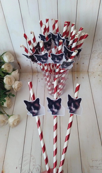 Canudo com Foto Pet Gato