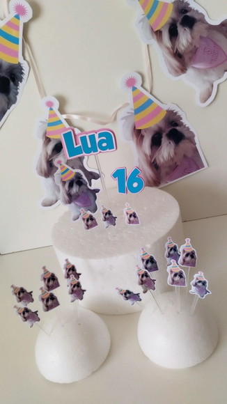 Kit Festa Cachorro Personalizado com Foto e Chapeuzinho
