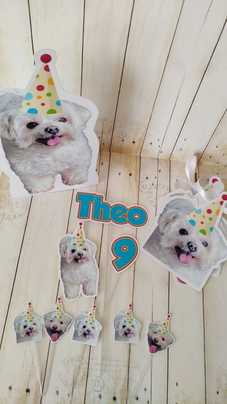 Kit Bandeirola com Foto, Topper e Display com Foto Cachorro