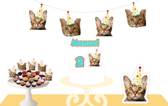 Kit Bandeirola com Foto, Topper e Display com Foto Gato