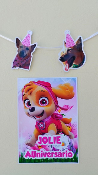 Imagem 2
