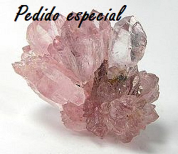Pedido Especial
