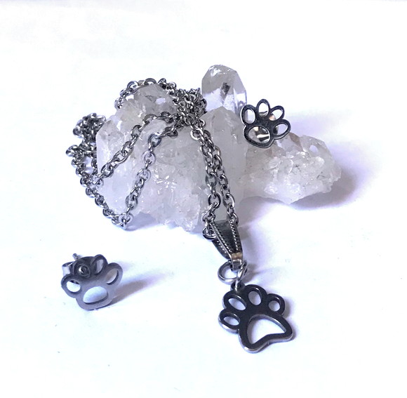 Conjunto Brinco e Corrente Pingente Aço Inox com Patinha Pet