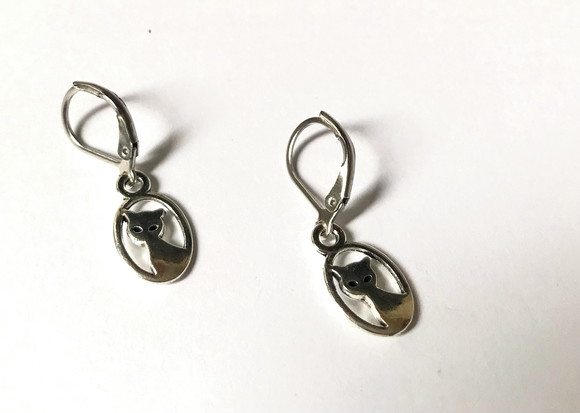 Brinco com Gancho Fechado Aço Inox e Gato