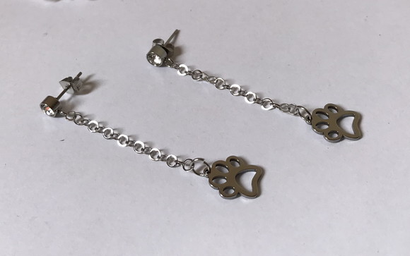 Brinco Aço Inox com Strass e Patinha Pet
